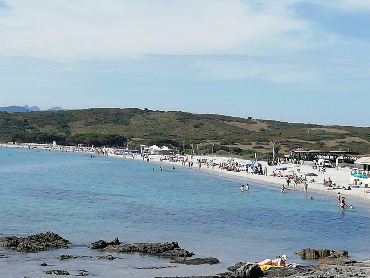 奧爾比亞 Al Mare Da Francesca酒店 外观 照片